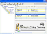 Windows Data Recovery Tool for Backup screenshot